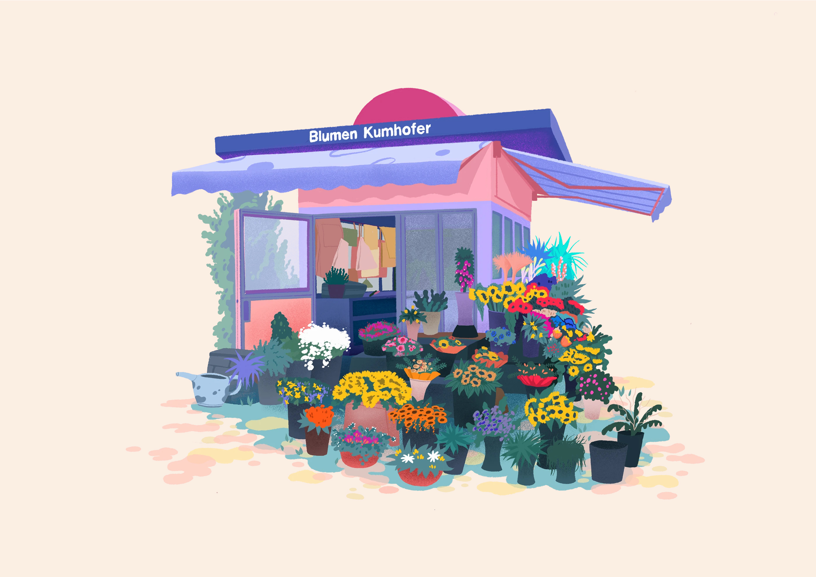 User Account